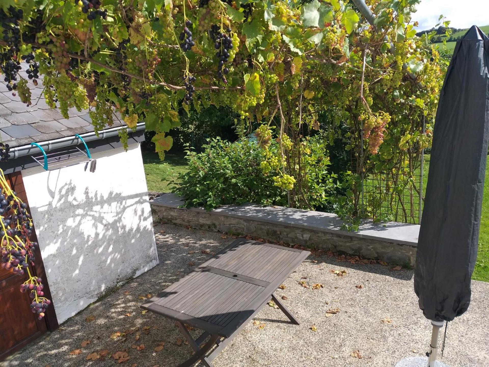 فيلا Gite L'Ecole De Ma Mere Bertogne المظهر الخارجي الصورة